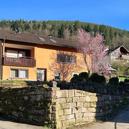 Апартаменты Viva La Wildbad Бад-Вильдбад Экстерьер фото