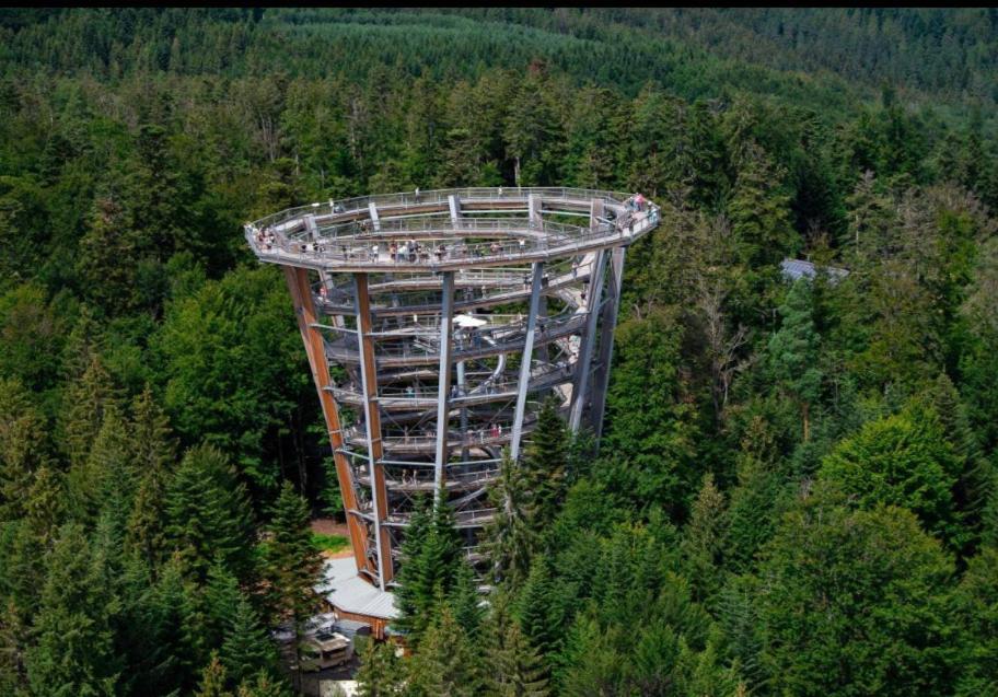 Апартаменты Viva La Wildbad Бад-Вильдбад Экстерьер фото