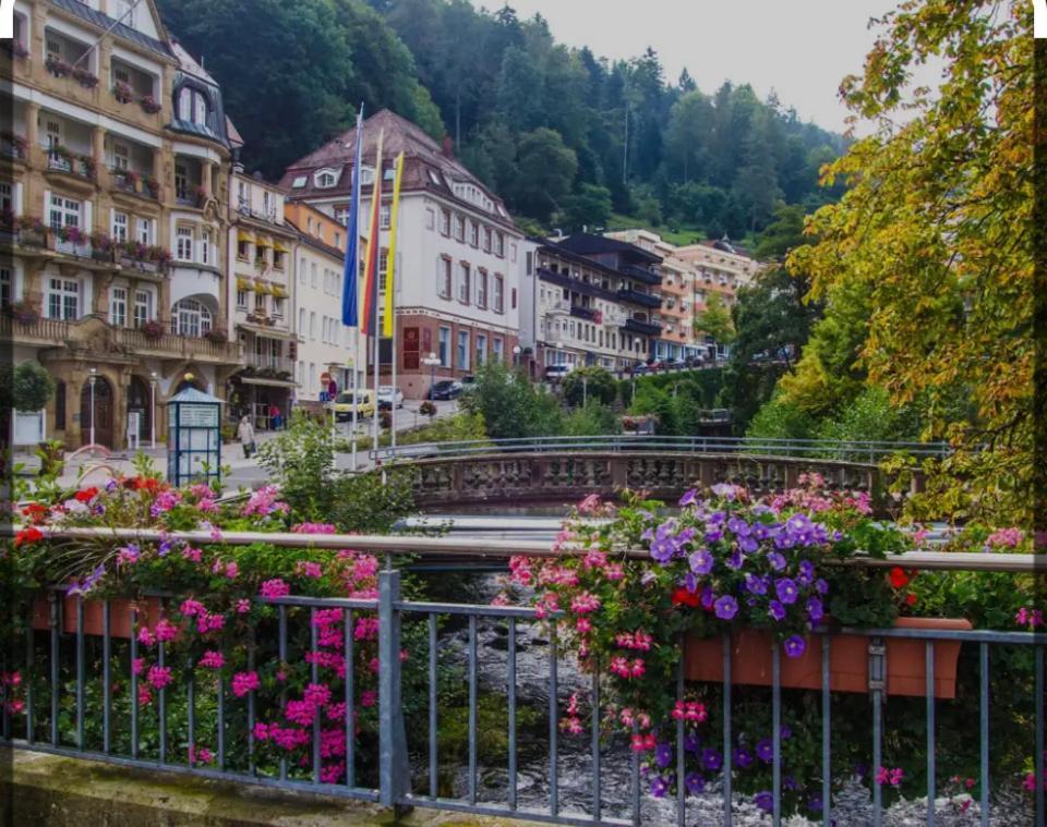Апартаменты Viva La Wildbad Бад-Вильдбад Экстерьер фото