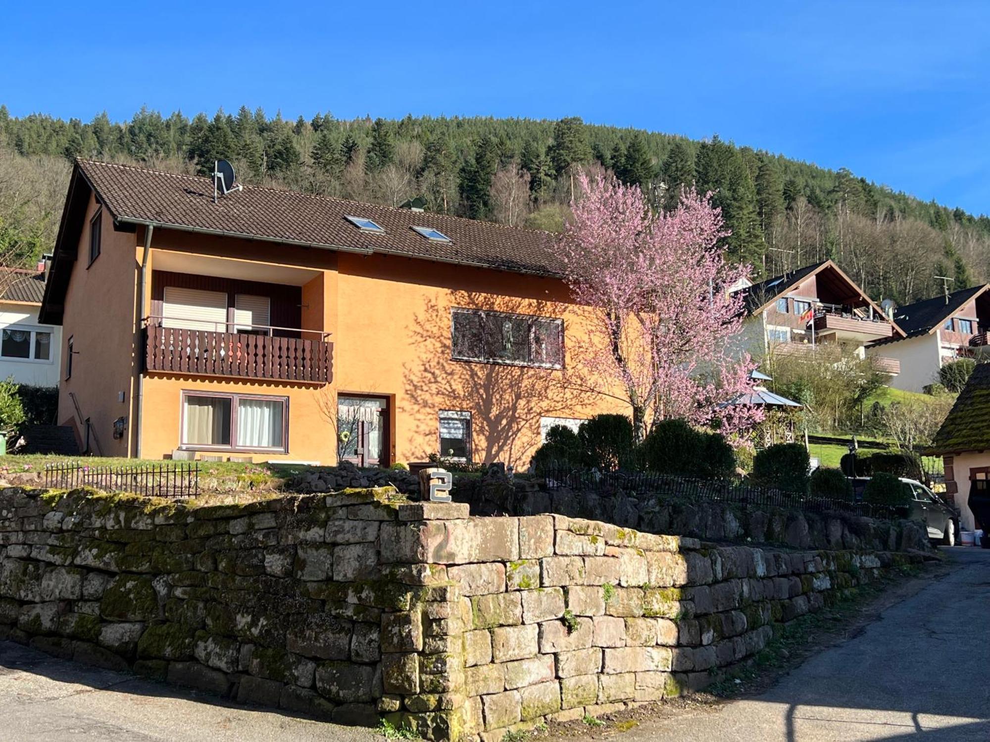 Апартаменты Viva La Wildbad Бад-Вильдбад Экстерьер фото